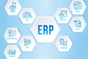 ERP Implementation Partner